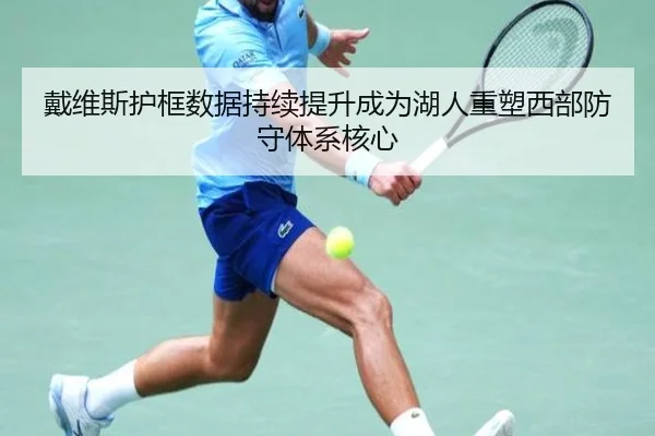 戴维斯护框数据持续提升成为湖人重塑西部防守体系核心